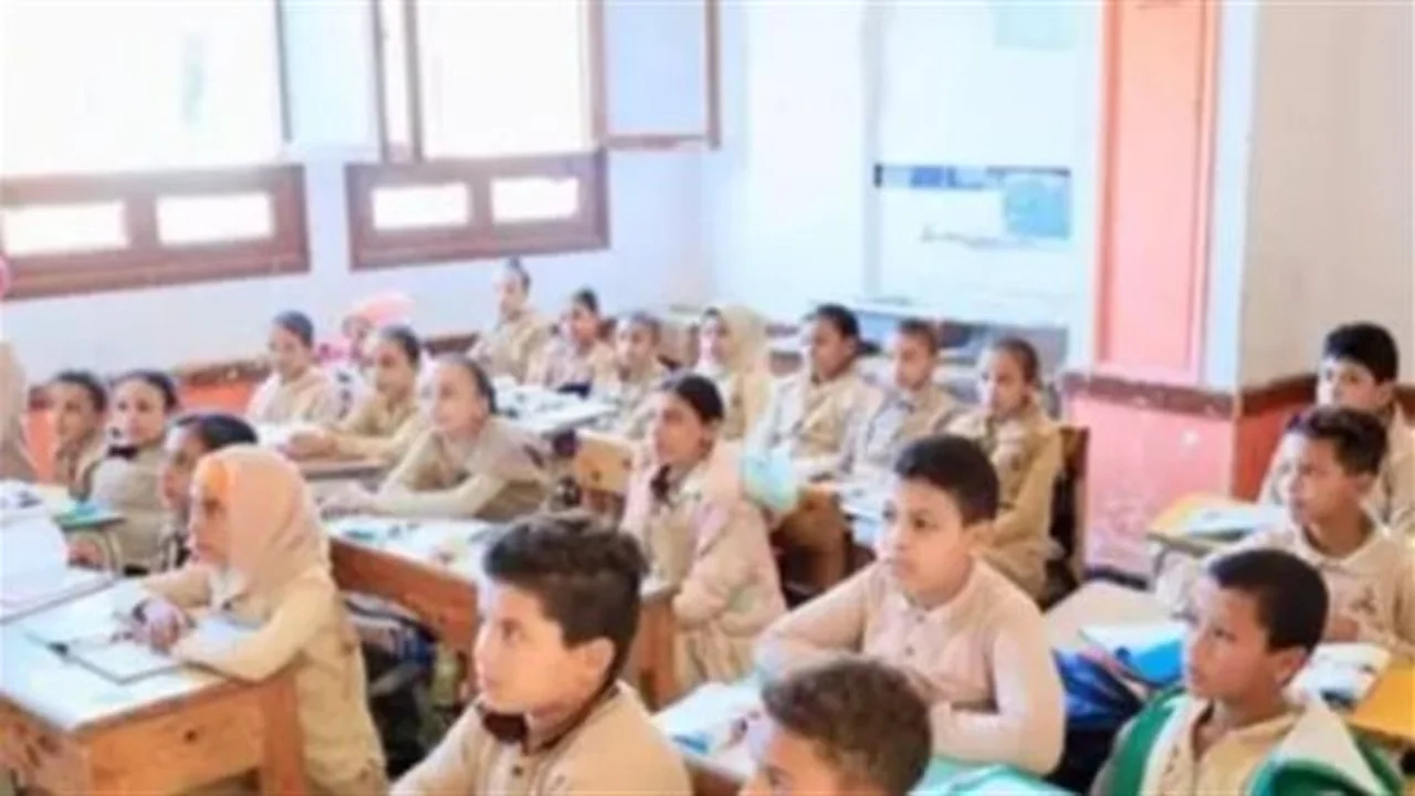 بوابة التعليم الأساسي.. نتيجة صفوف النقل بالقاهرة برقمك القومي متاحة حاليًا لجميع الطلاب